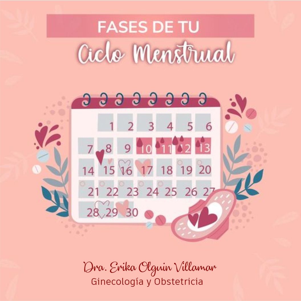 Erika Olguín Villamar-14