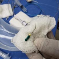 Miguel Ángel Martínez-Ambrosio-3