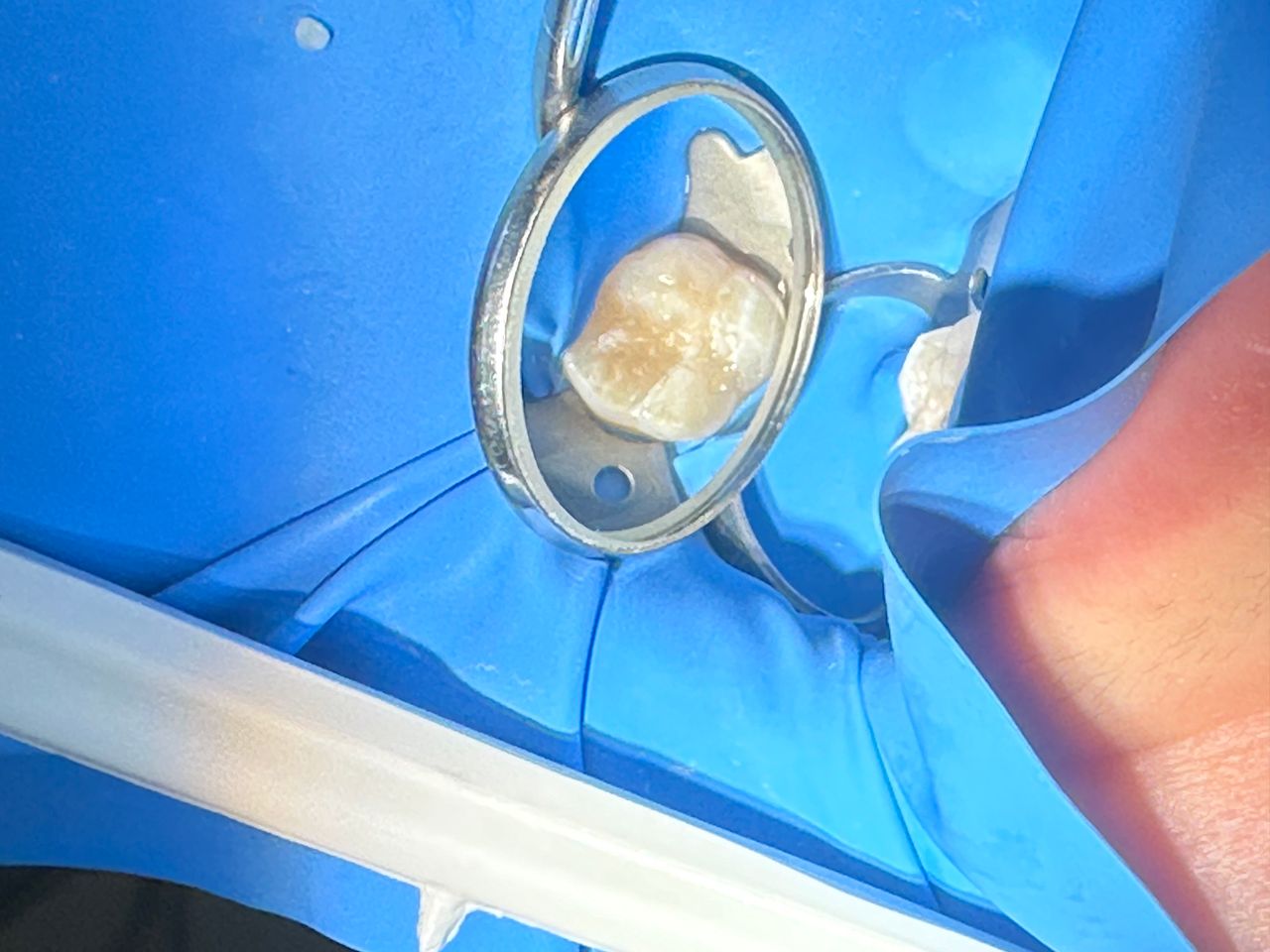 Mariana Alejandra Flores Ortega-0