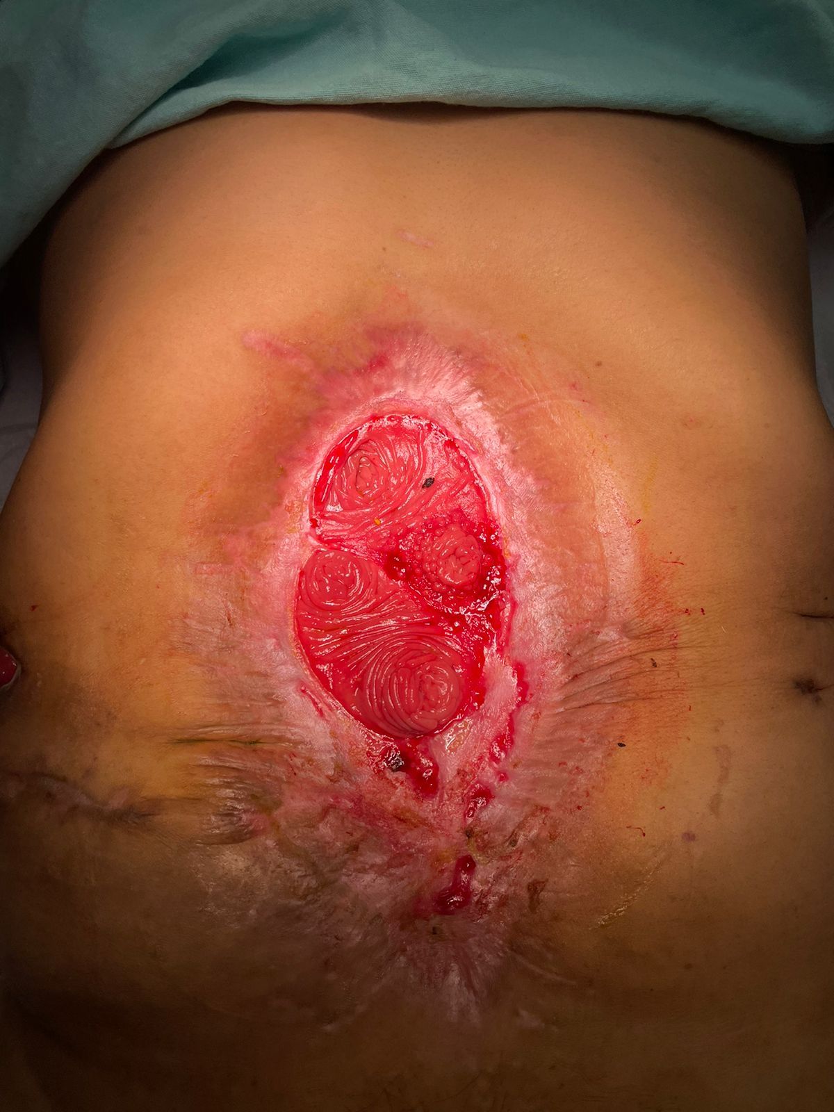 Mateo Ponciano Guerrero-2