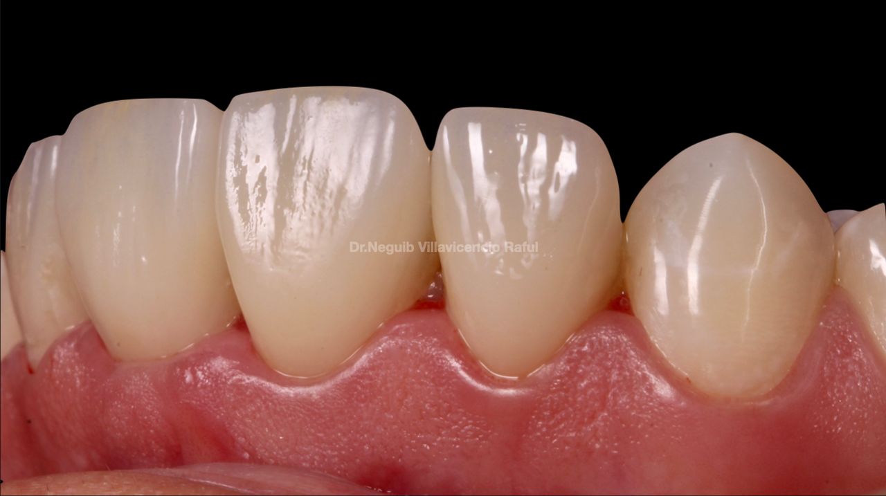 Neguib Villavicencio Raful-43