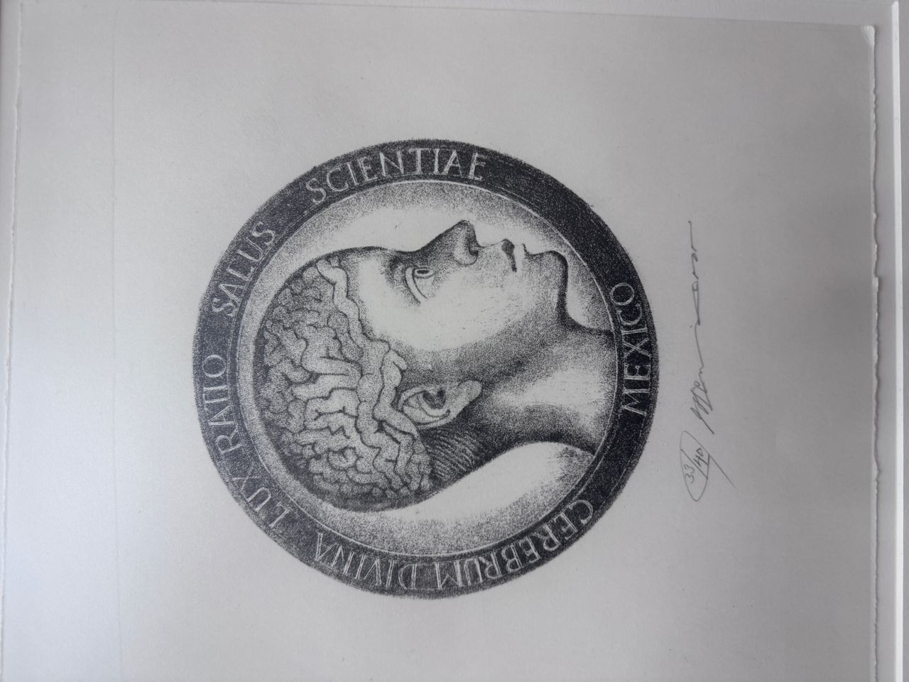 Diego Uriel Chetla-1