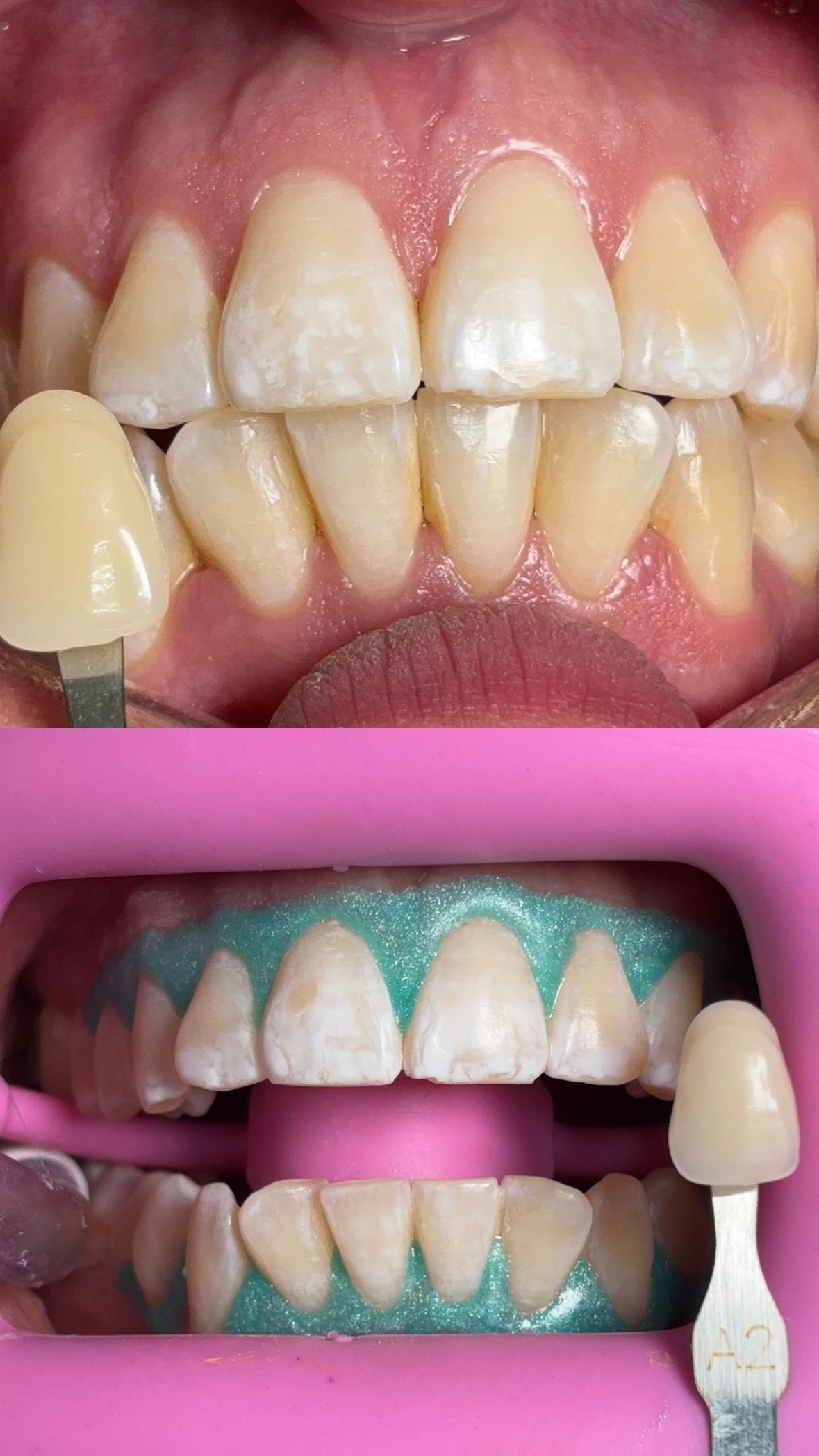 María Paula  Flores Novoa-27