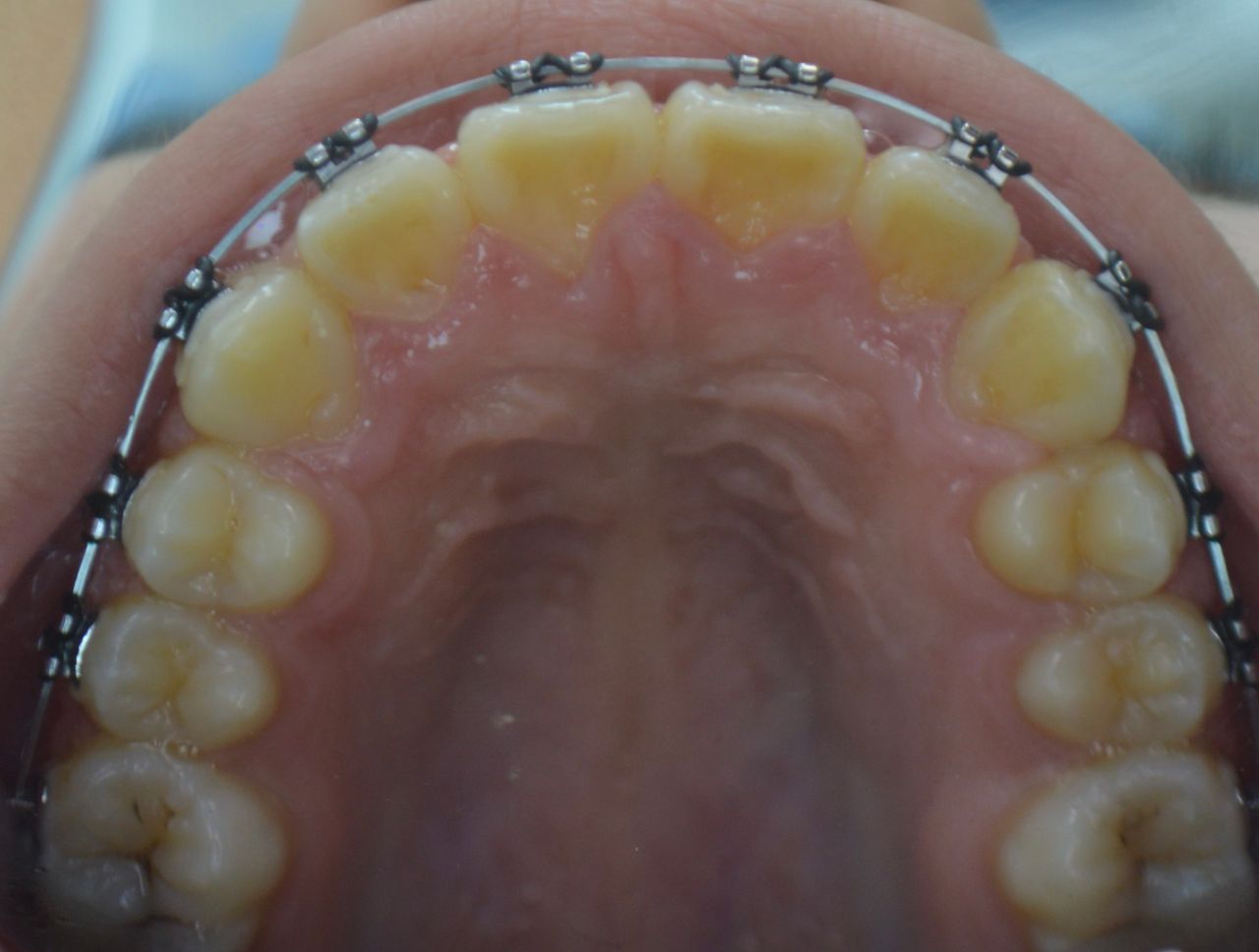 Laura Patricia  Medina Rodríguez-2