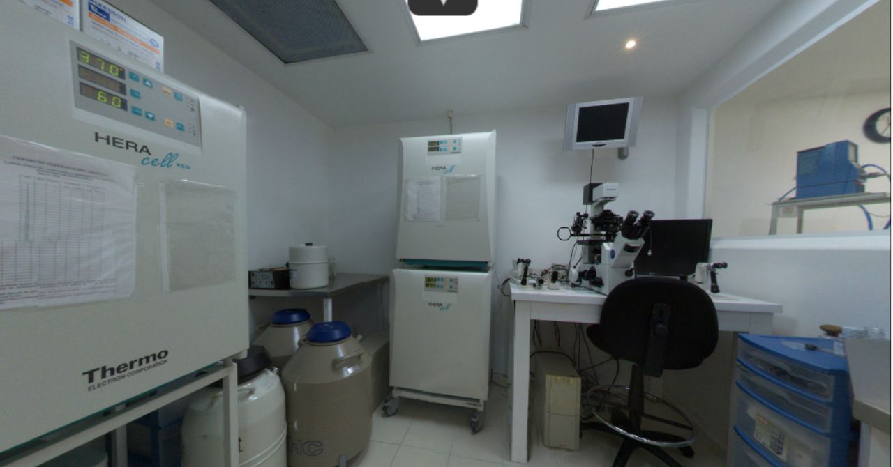 Demetrio E. Zertuche Gonzalez-2