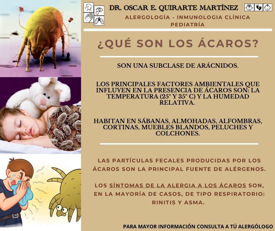 Oscar E. Quirarte Martínez-18