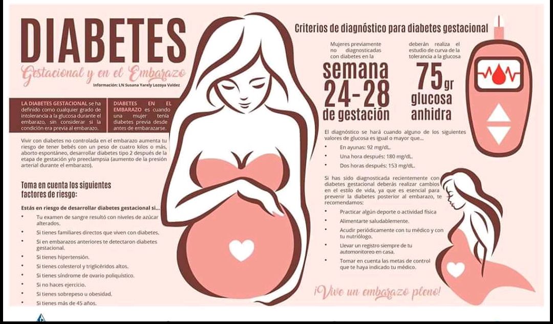 Ma. Del Carmen Hernández Ovando-12