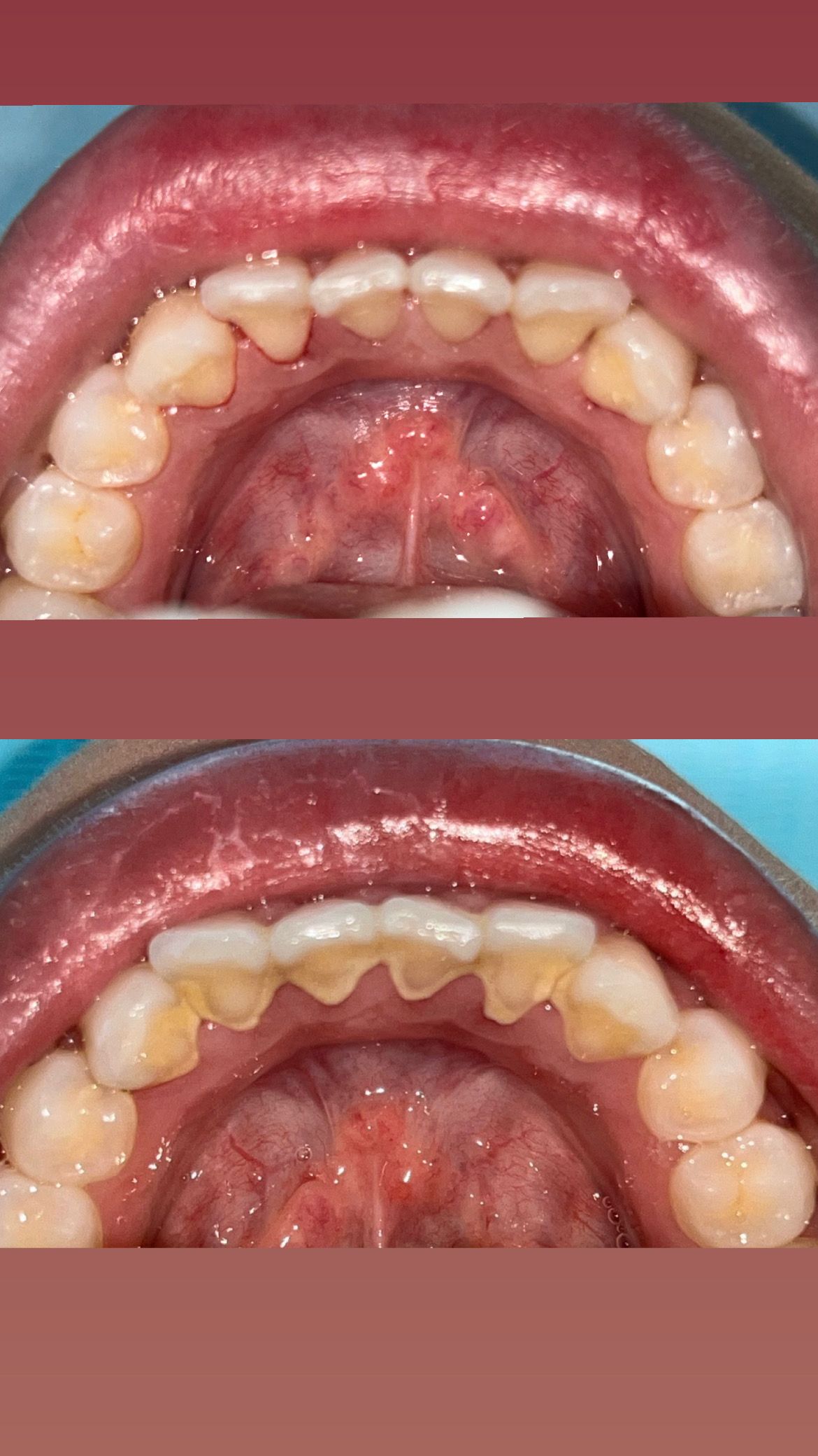 Leslie Guerrero Alcantar-2