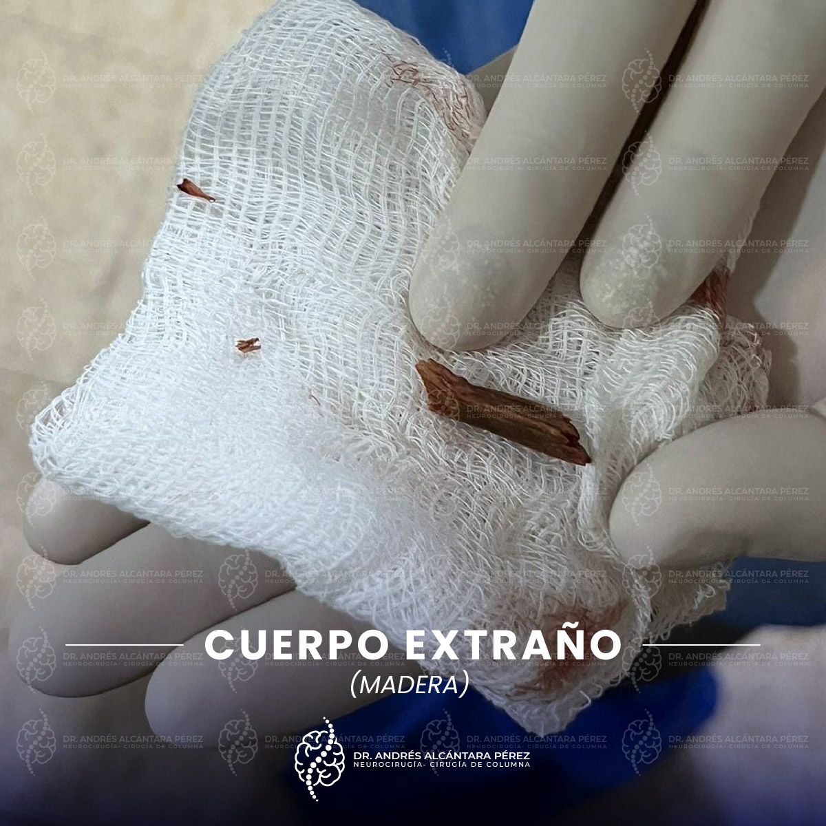 Andres Alcántara Pérez-5