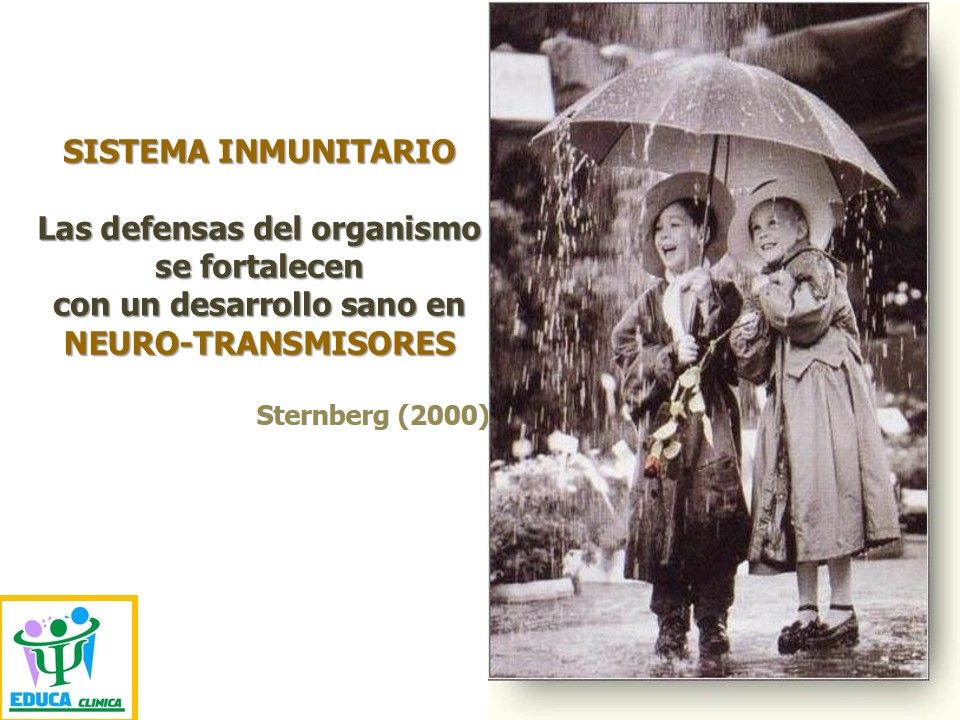 Maria De Lourdes Vital Martin-7