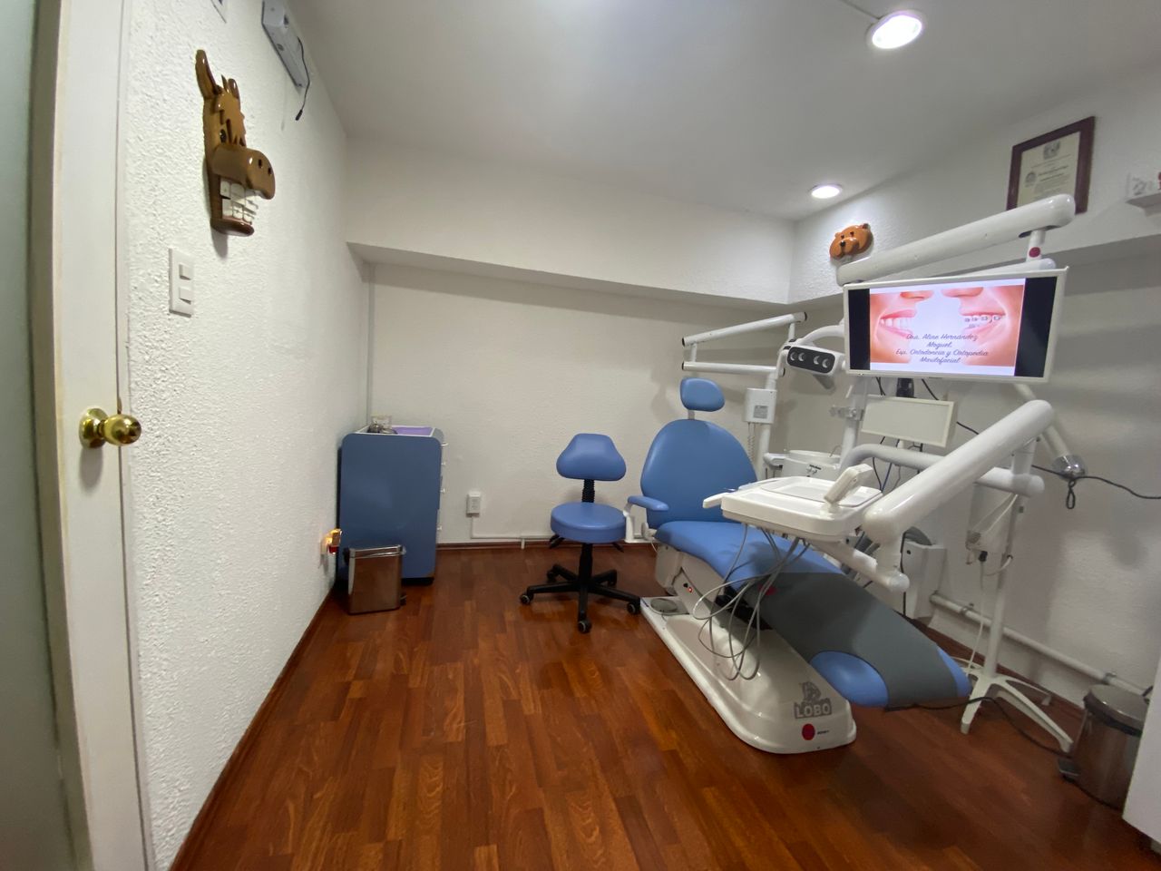 Aline Hernandez Moguel-5