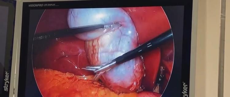 Luis Angel Medina Andrade-21