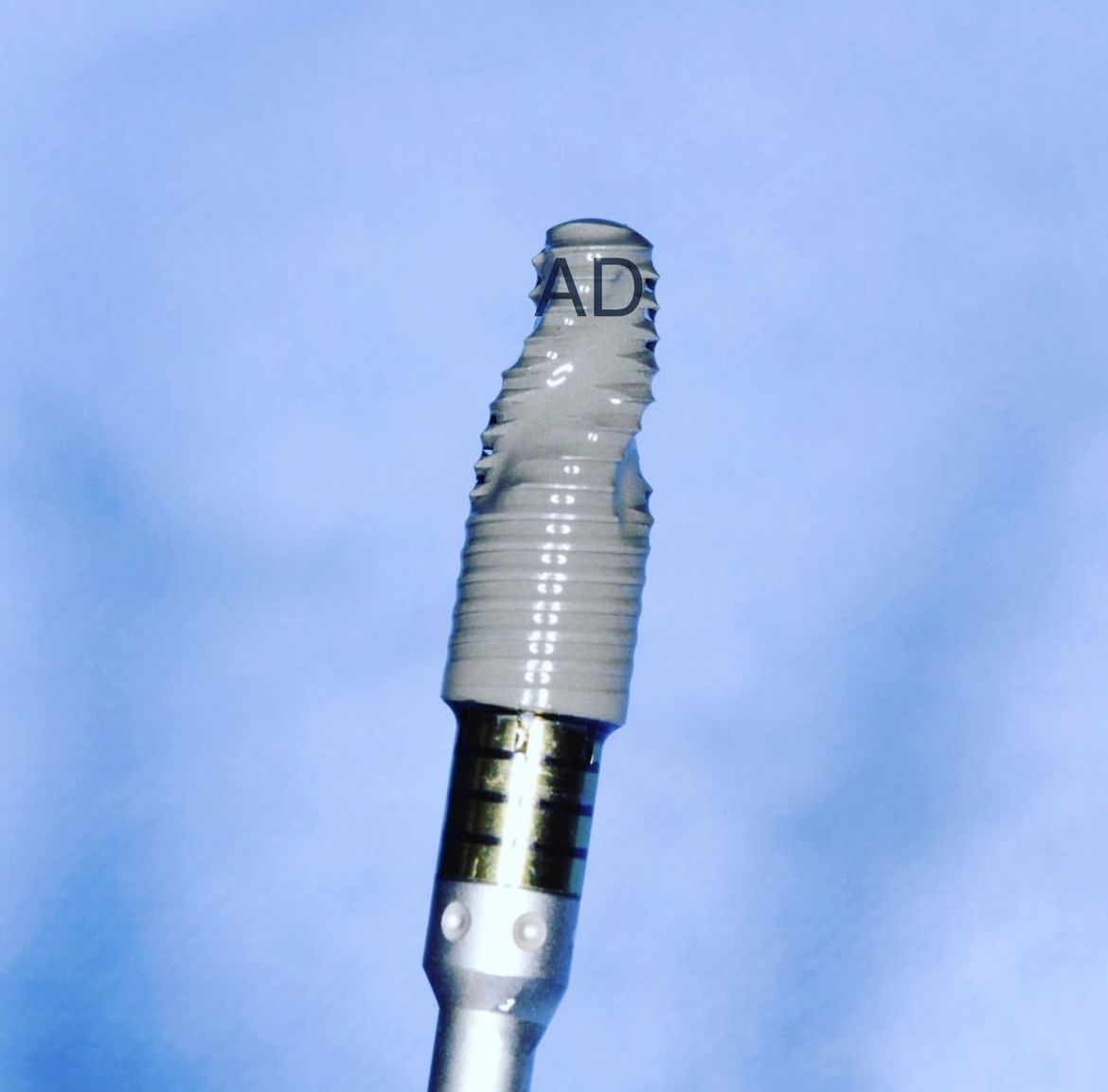 Paulina Mendoza Marquez-3