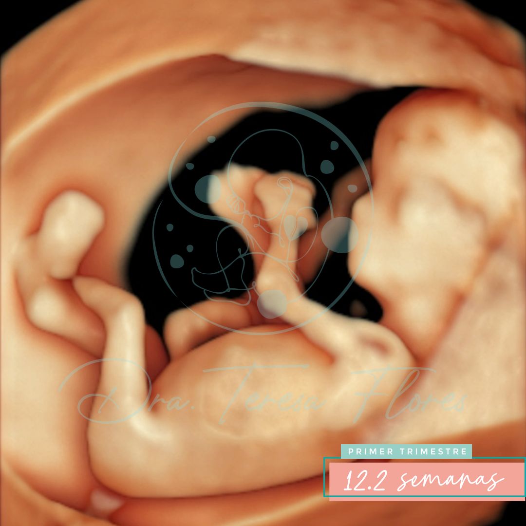 Teresa Miriam Flores Amador-2