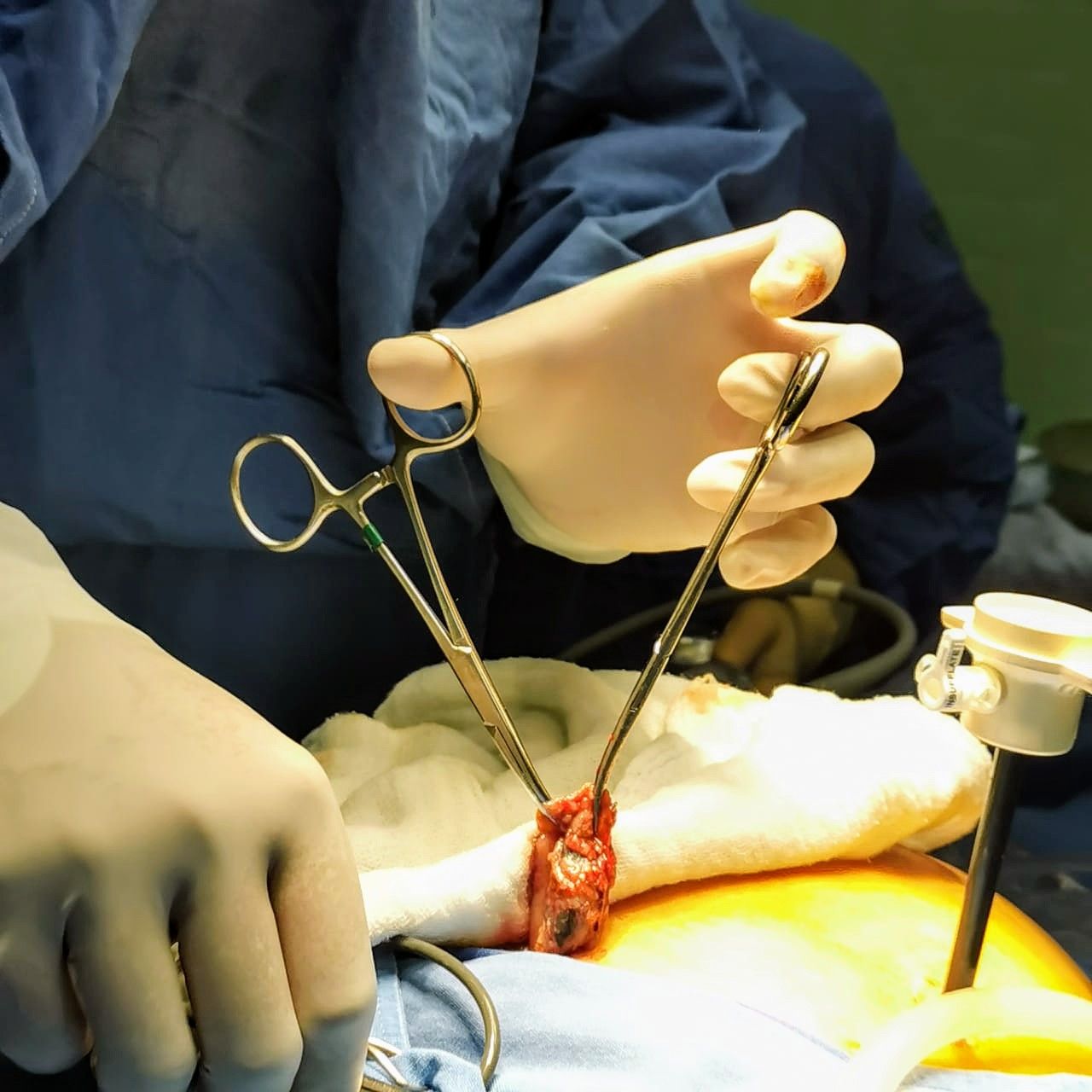 Iván Nájera Ayuso-42