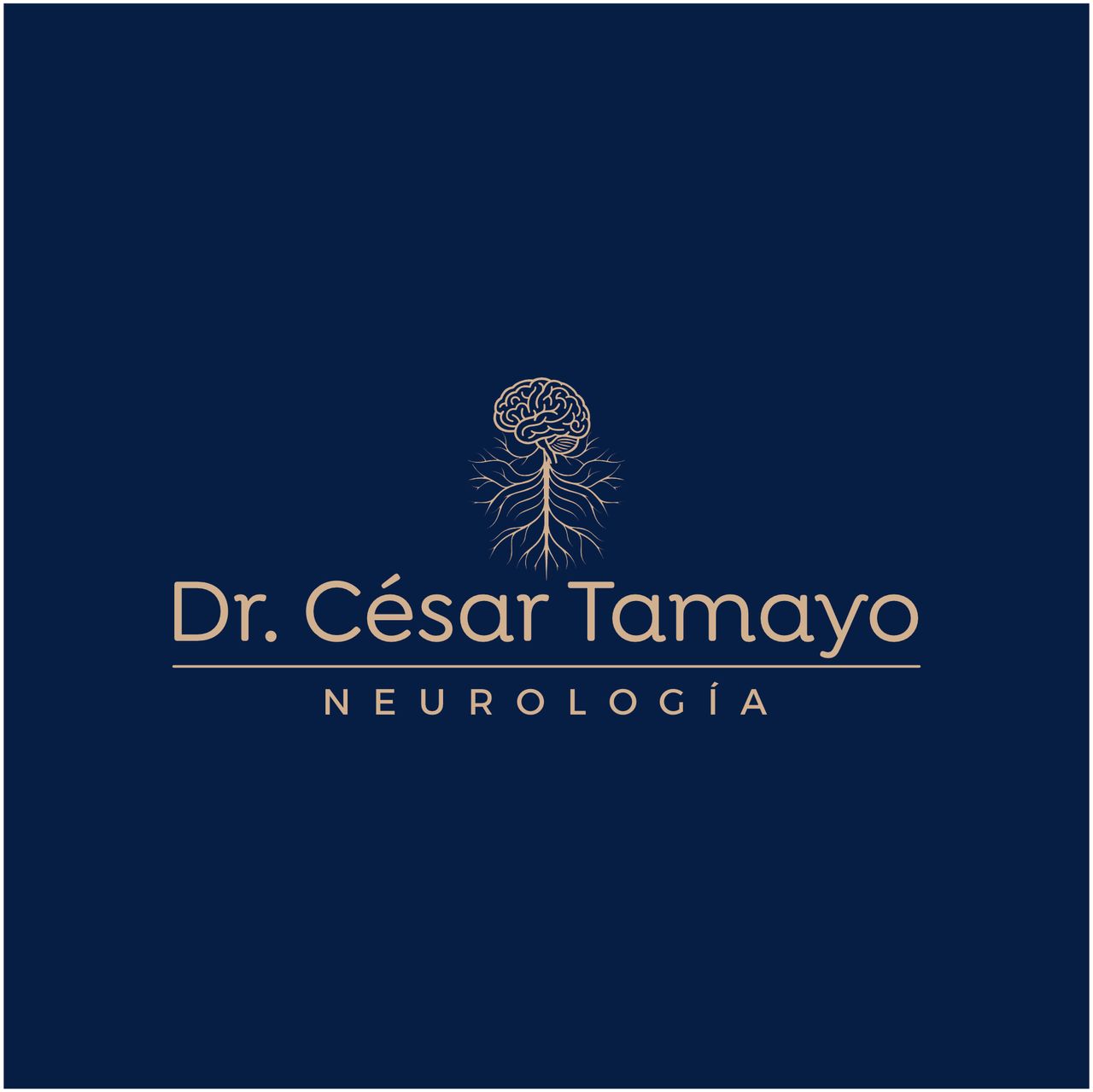 Cesar David Tamayo De León-6
