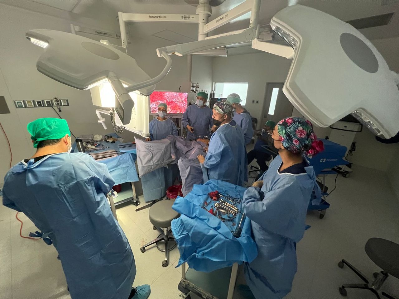 Luis Miguel Campos Olmedo-9