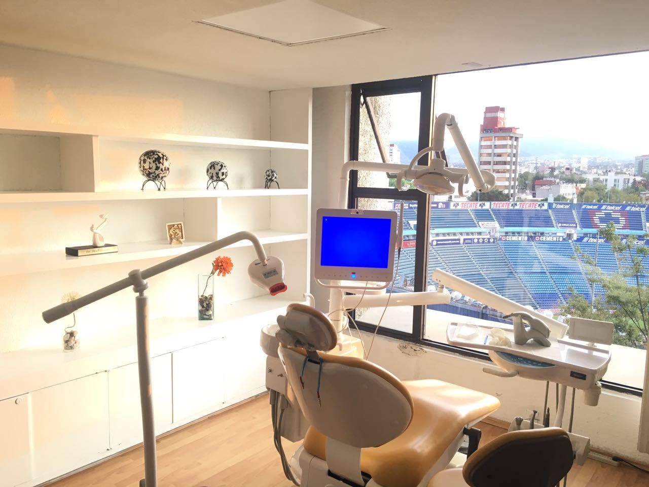 Reneé Jiménez Castellanos-8