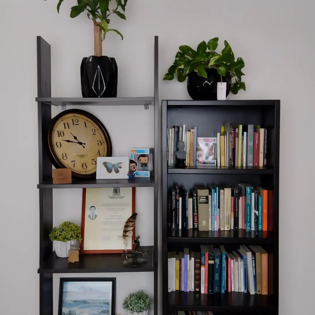 Juan Francisco Hernández Gómez-4