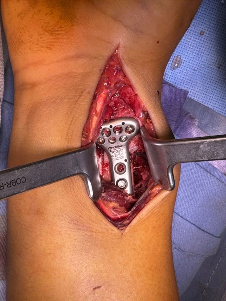 Jose De Jesus Perez Cisneros-10