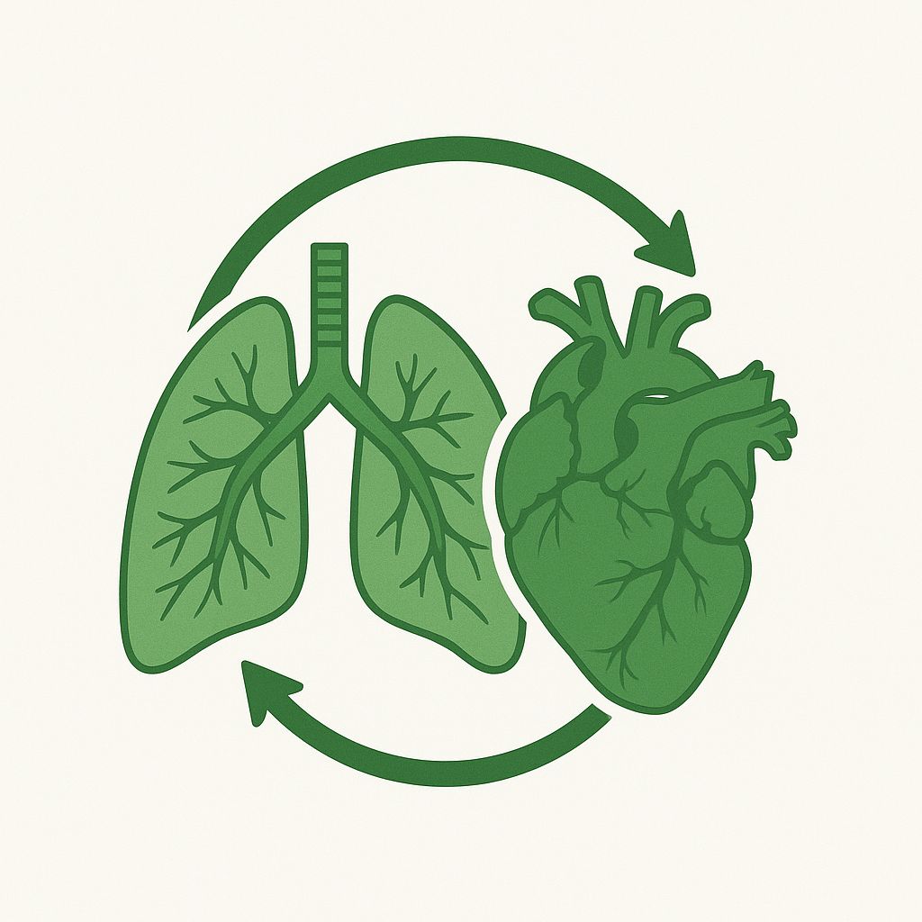 Jaime Ruben Martinez Sanchez-1