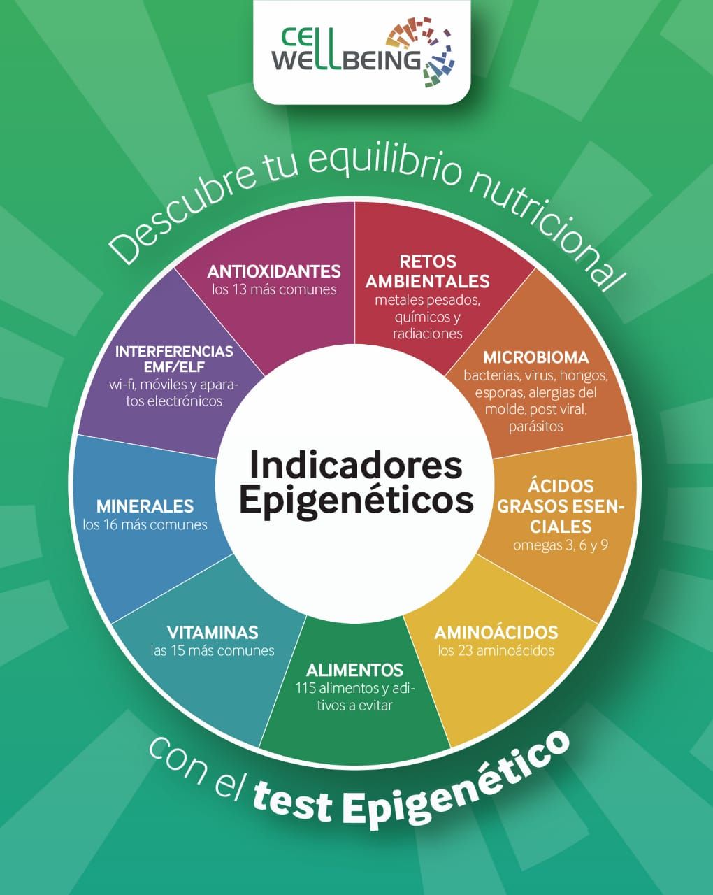 Isianel Delgado Martínez-10