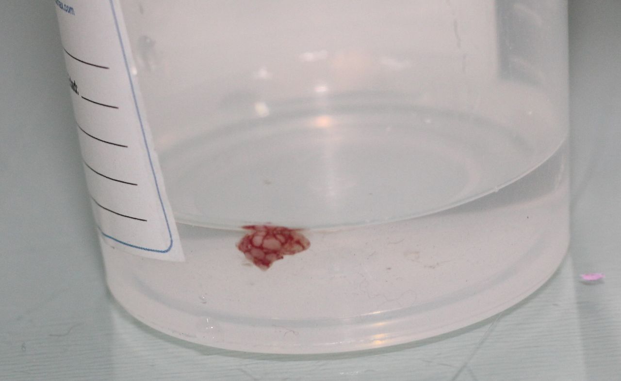 Mariana Alarcón López-4