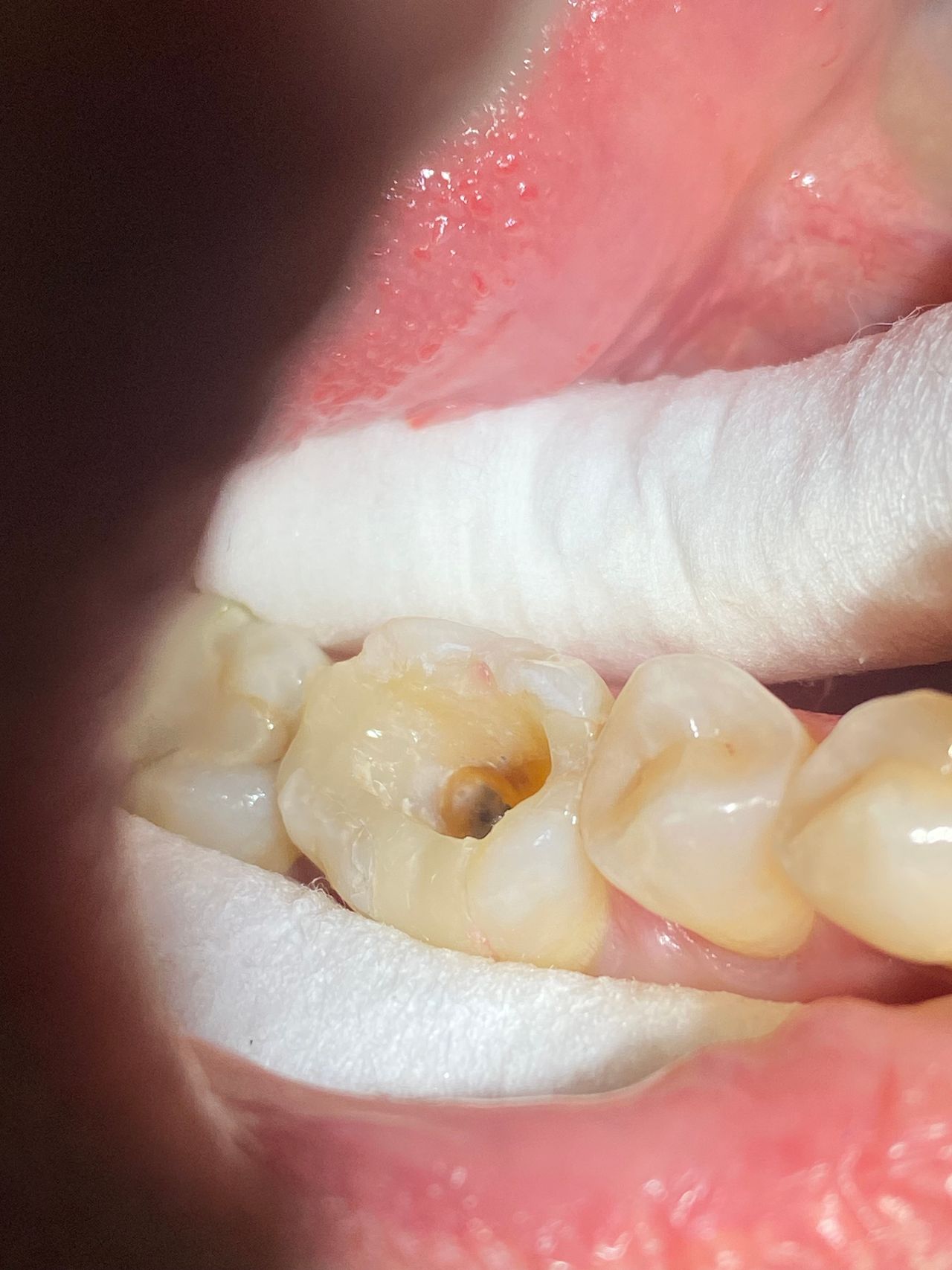 Andrea Montserrat Castellanos Ramírez-7