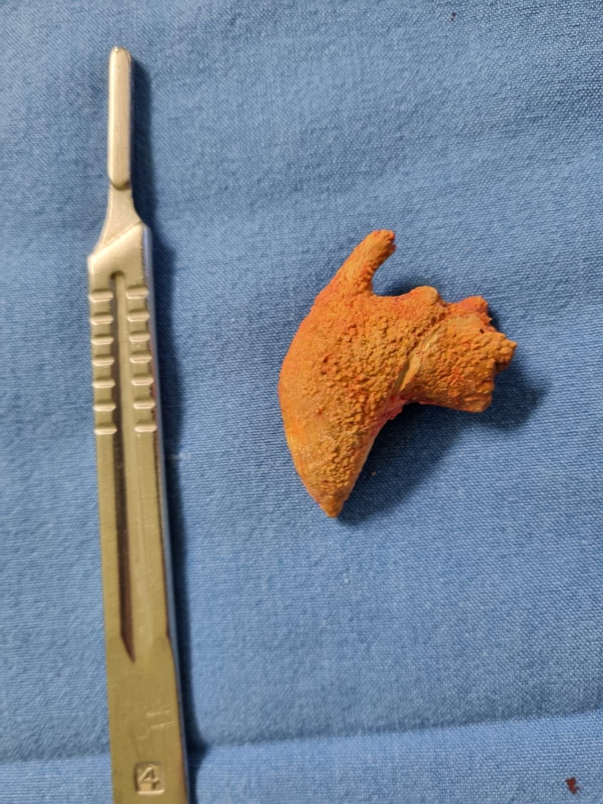 Jaime Arturo Aviña Magaña-0