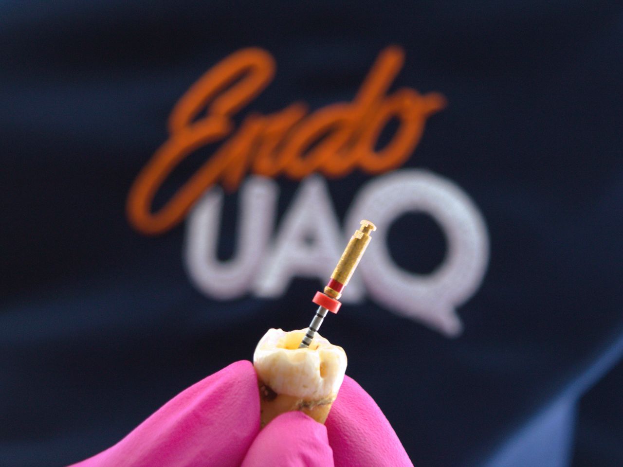 Karen Alejandra Ángeles Hernández-2