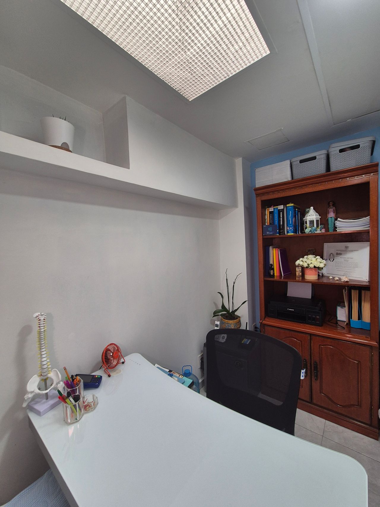 Diana Aguilar Fuentes-4