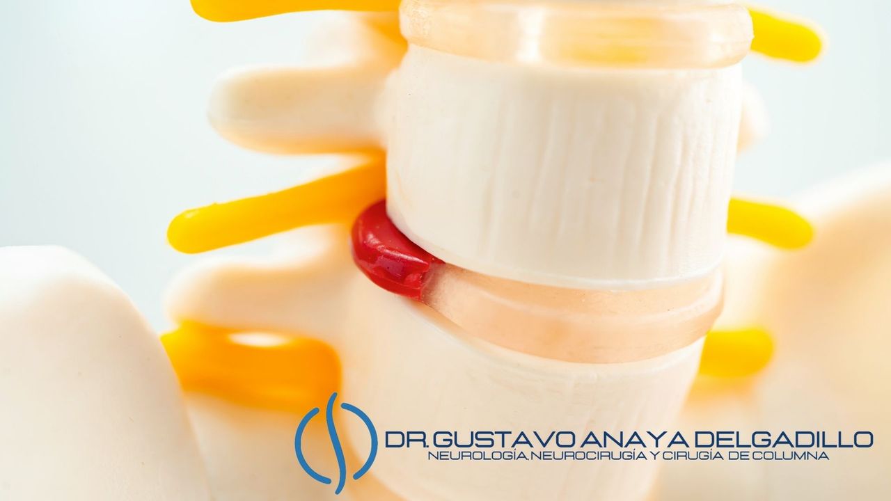 Gustavo Anaya Delgadillo-9