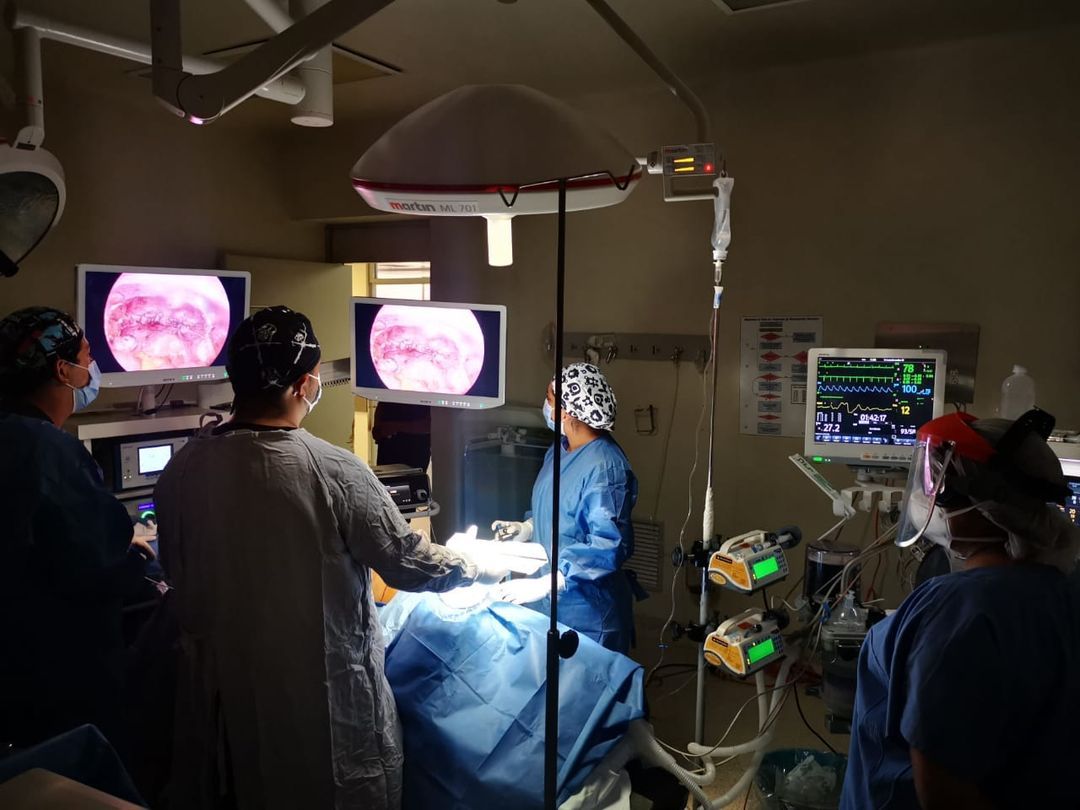 Victor Hugo Carmona Ornelas-2