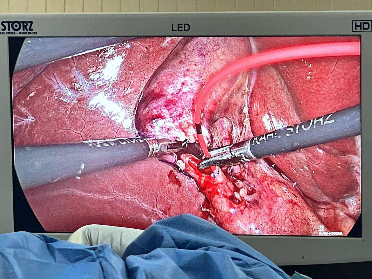 Emmanuel Hernández Sotelo-9