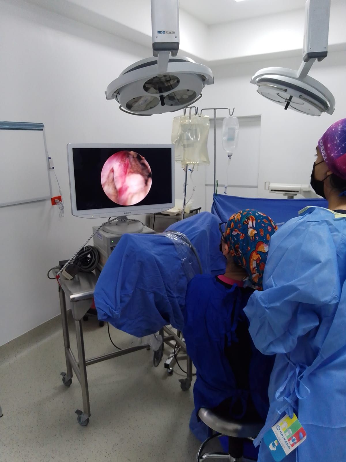 Adriana Hernández Magallanes-3