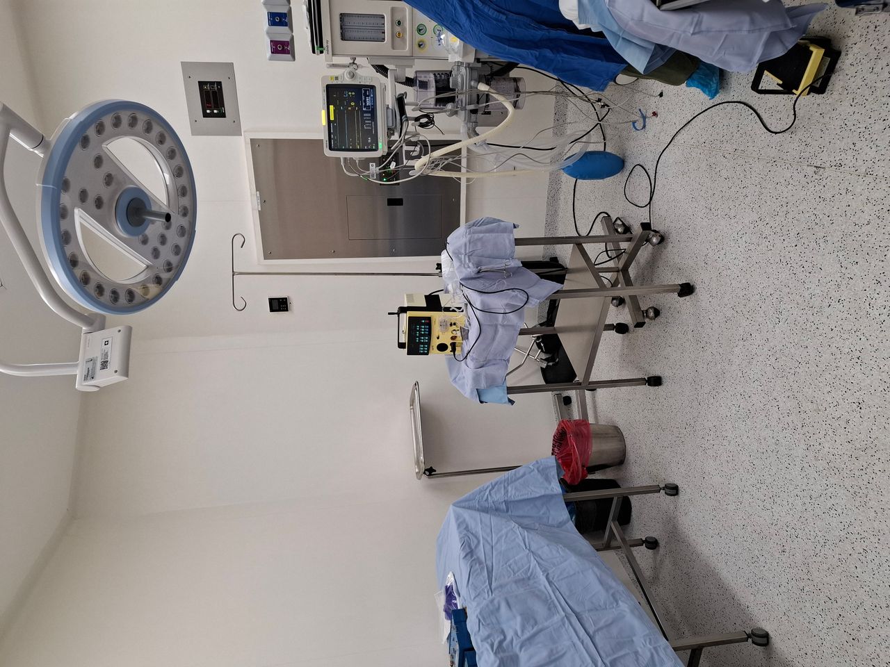 Diana Raya Hernandez-1