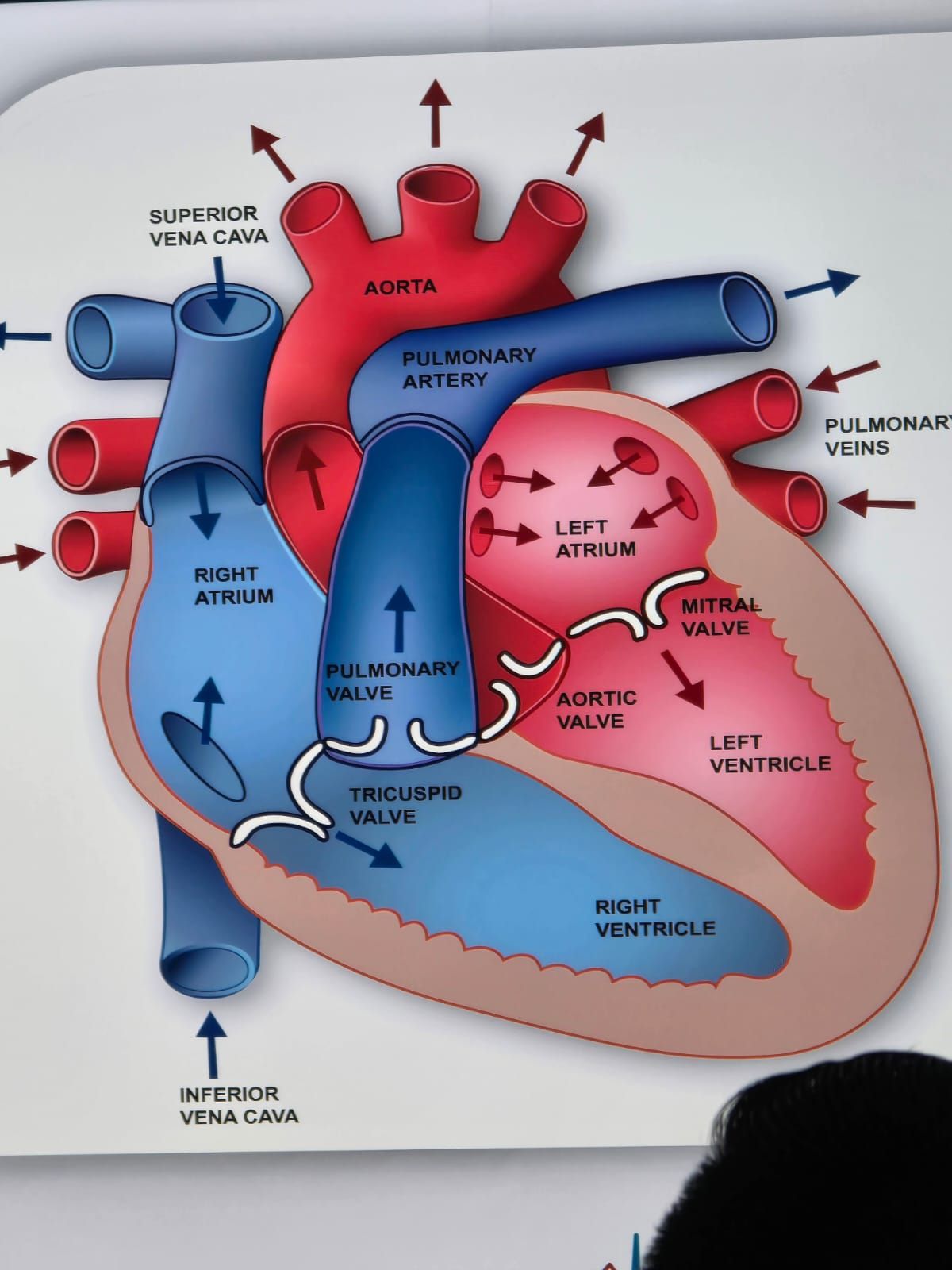 Abraham Ignacio Pérez De La Rosa-6