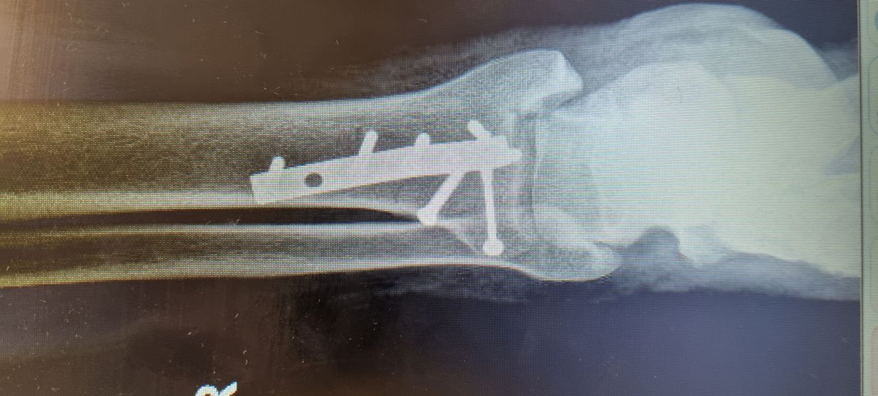 Héctor Omar González Navarro-14