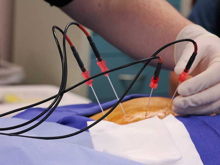 Alejandro Noé Magaña Cárdenas-7