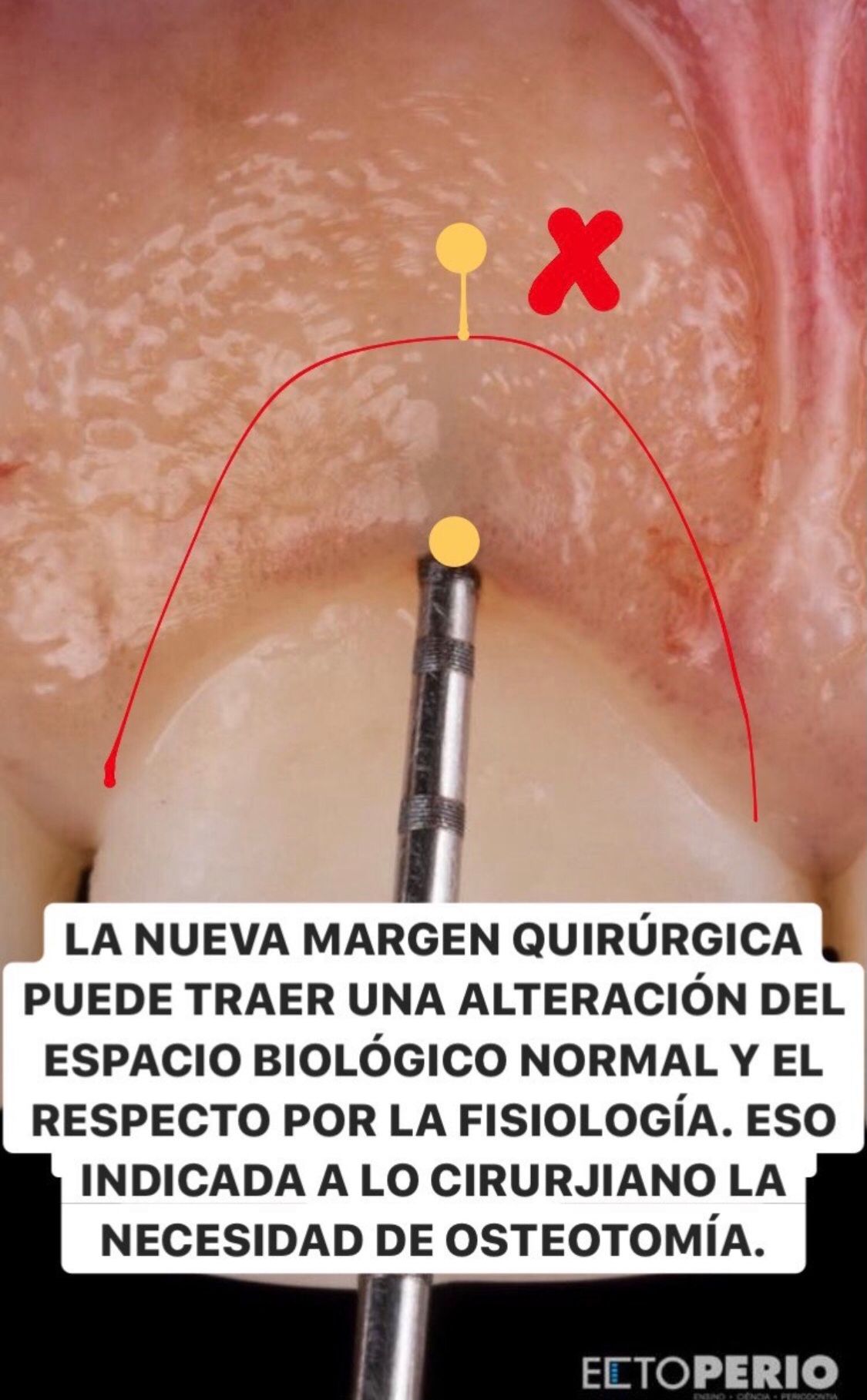 Adriana Lizeth Villarroel Guizar-4