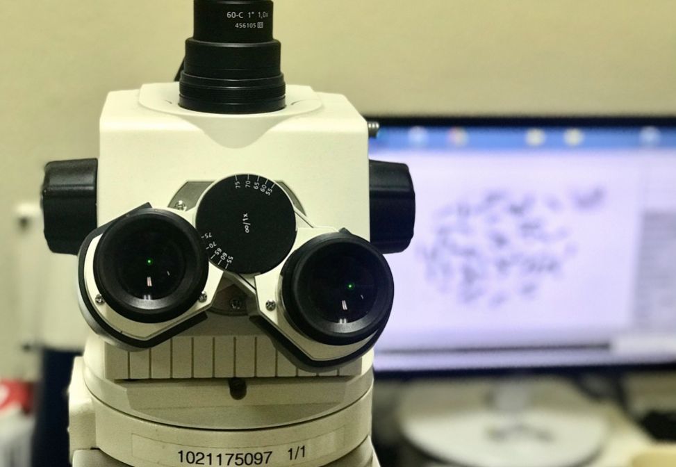 Griselda Reyes Torres-11