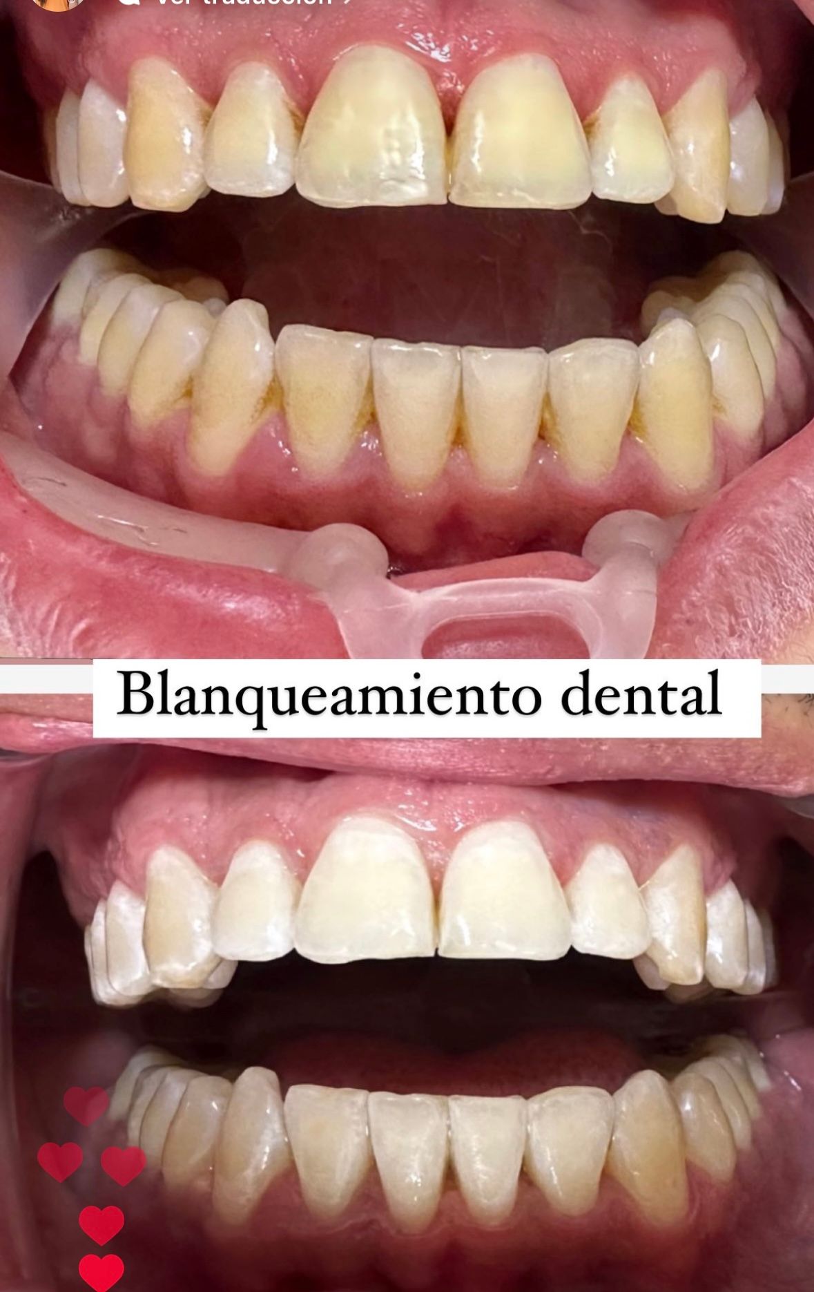 Fernanda Tovar Navarro-37