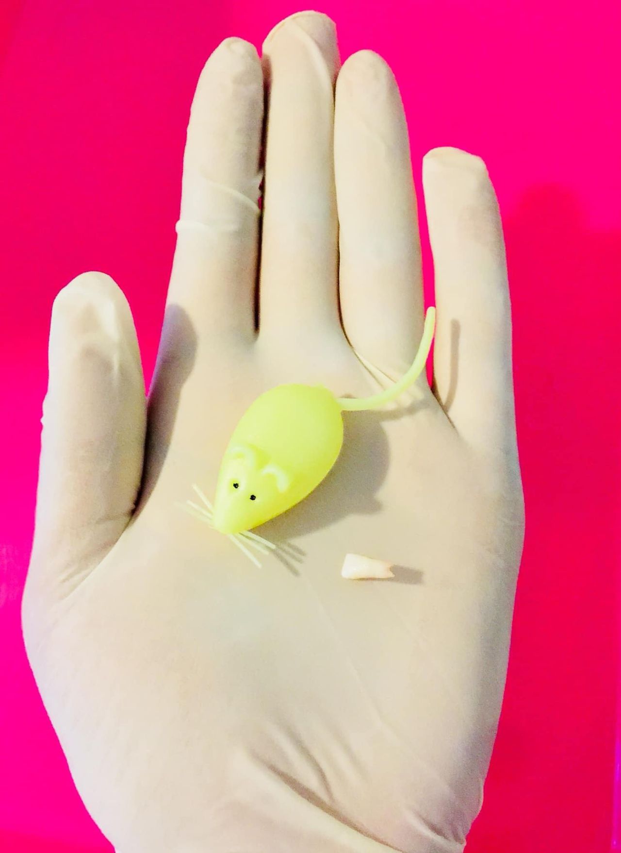 Montserrat Alcántara Conde-16