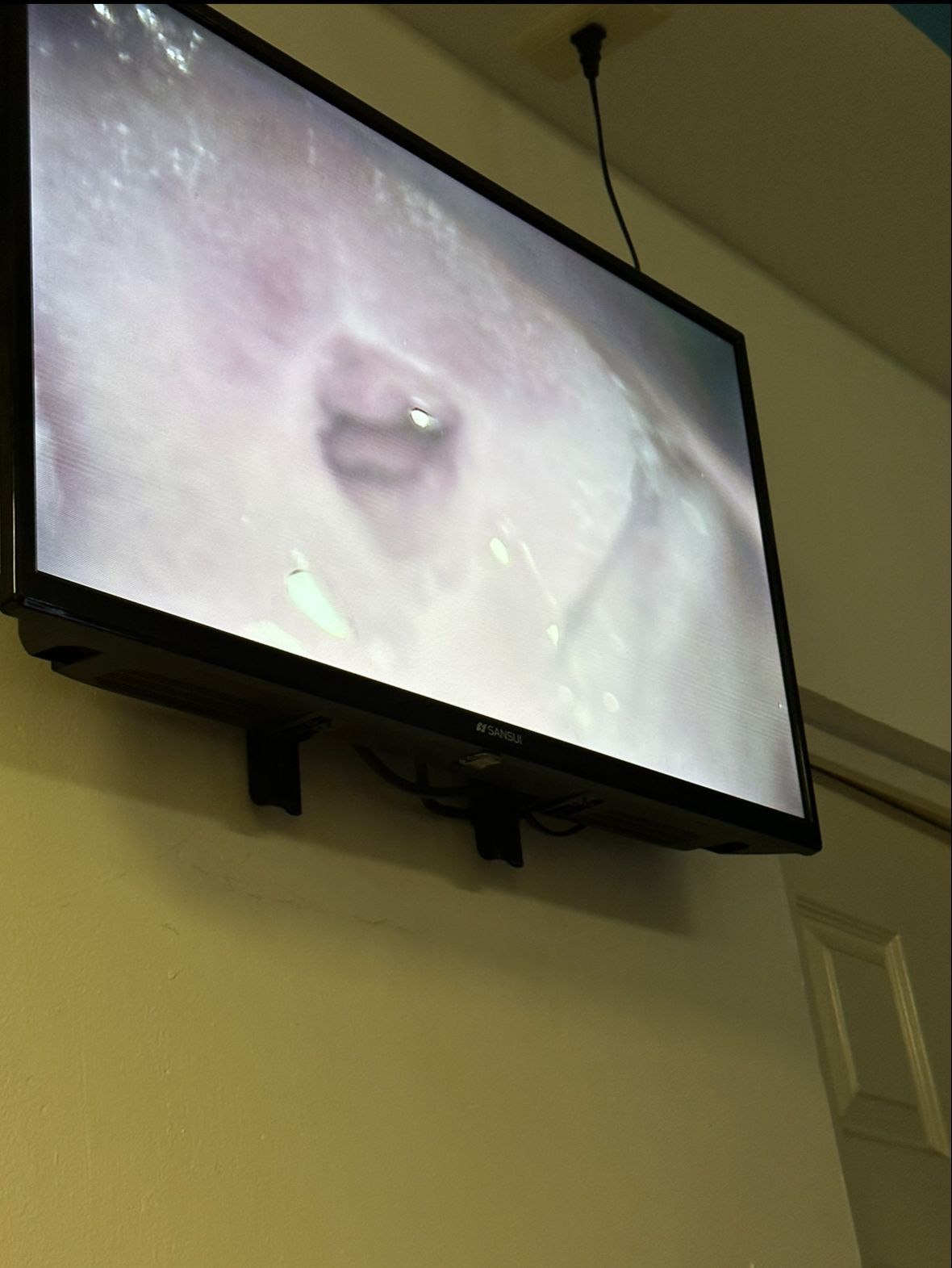 Maritza Morales Aguilar-6