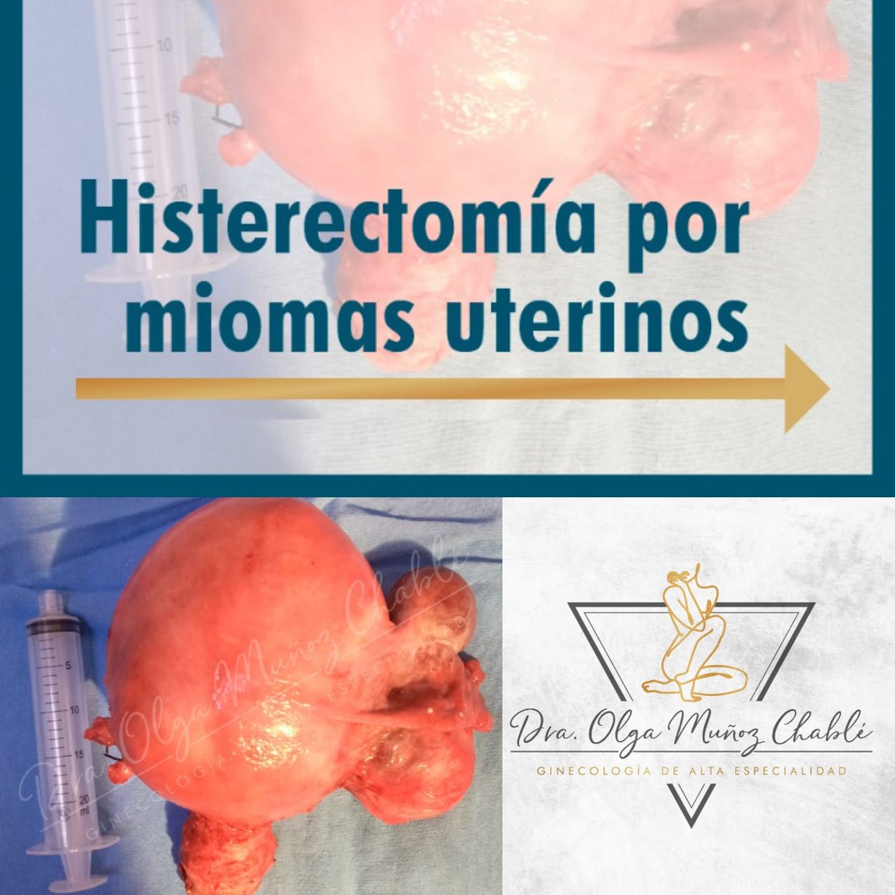 Olga Alejandra Muñoz Chablé-13