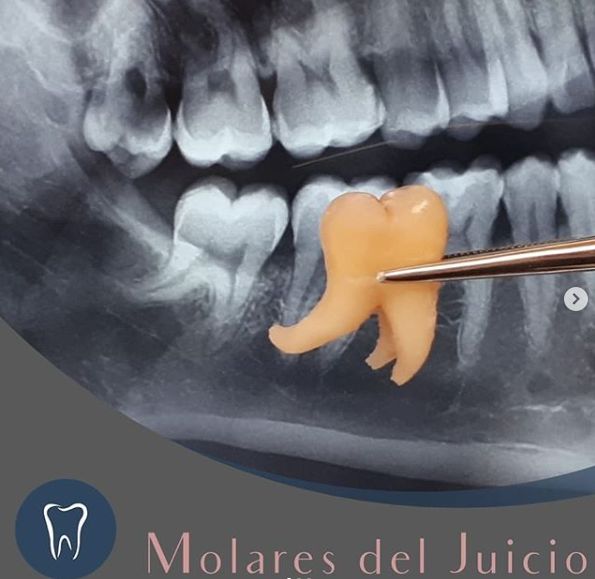 Daniela Martínez-22