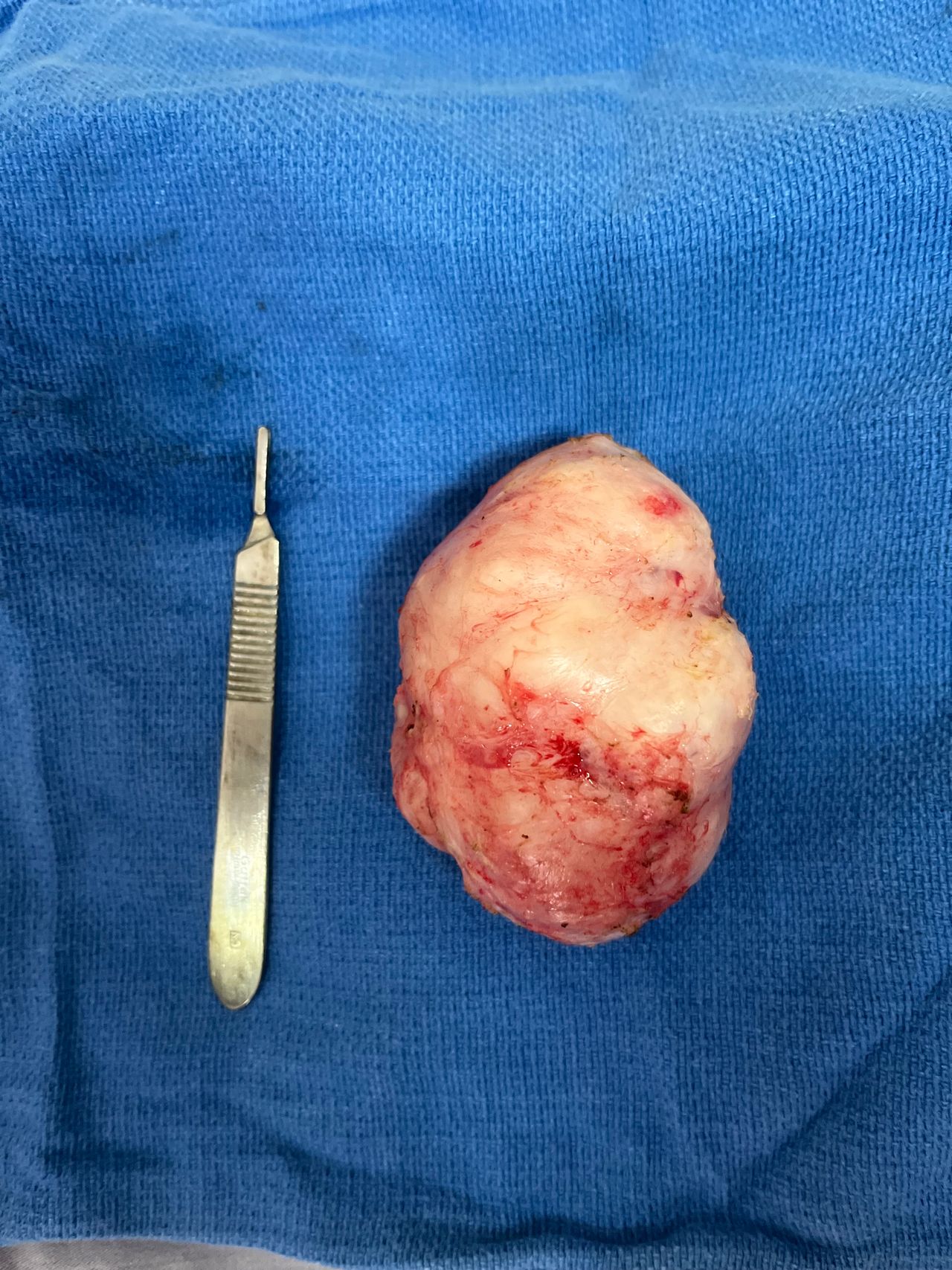 Ricardo Martinez Alaniz-14