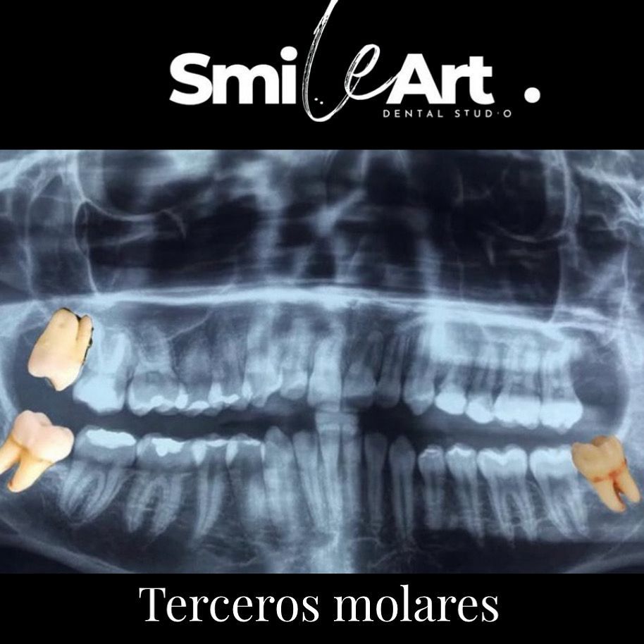 Andrea Amairani Ruiz Miranda-10