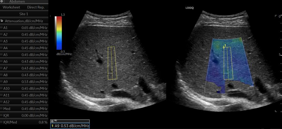 Rosa Martha Sandoval Nava-1