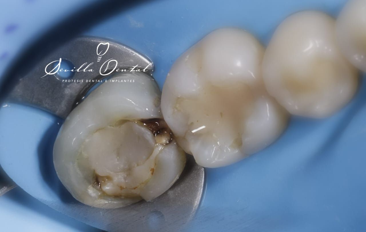 Gemma Marlene Sevilla Olmedo-0